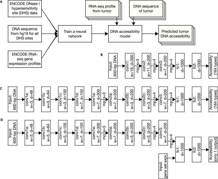 Figure 1