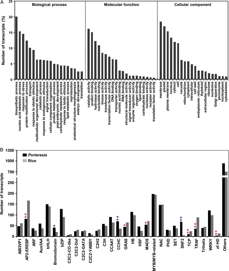 Figure 1.