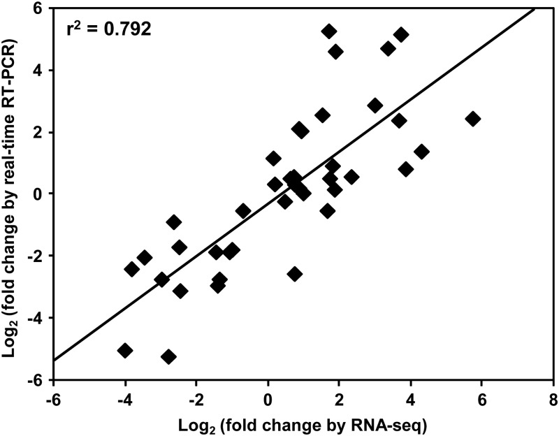 Figure 7.