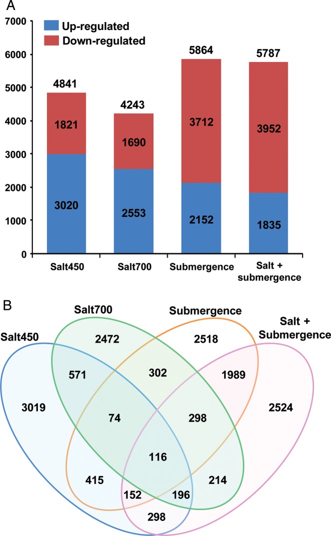 Figure 2.