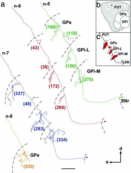 Fig. 2.