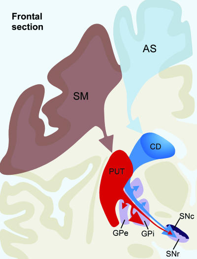 Fig. 7.