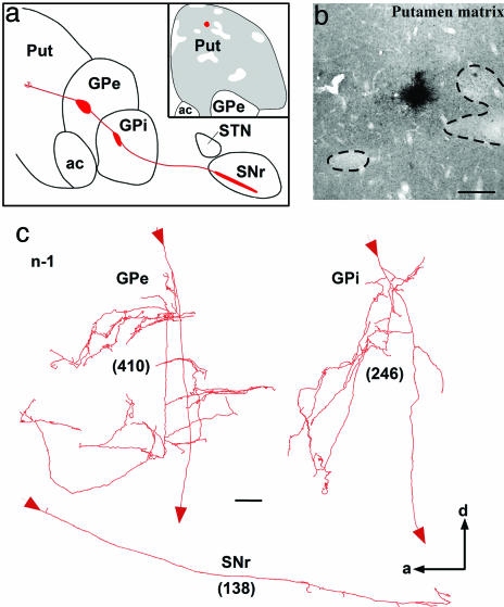 Fig. 6.