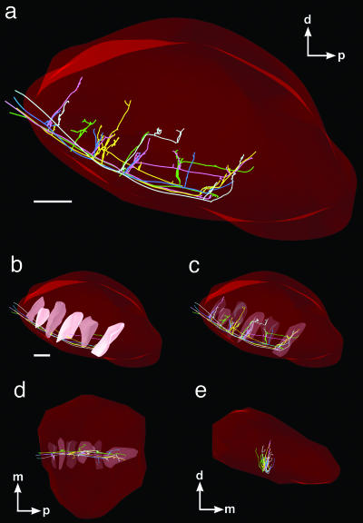 Fig. 5.