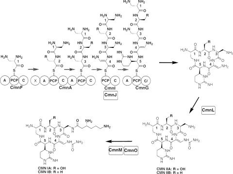 FIG. 4.