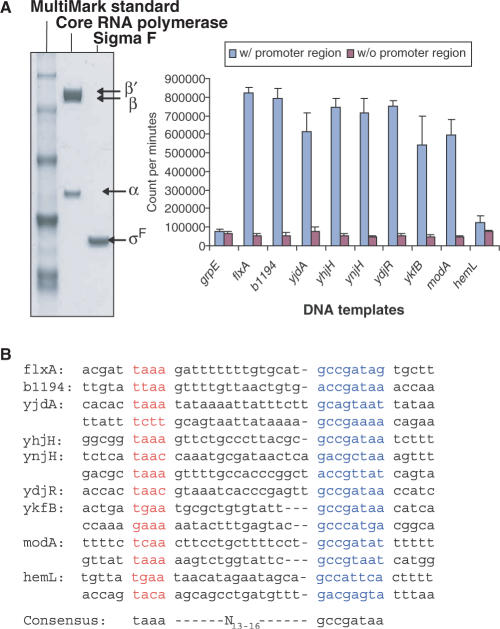 Figure 4.