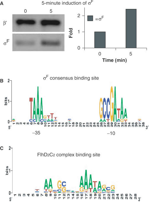 Figure 3.