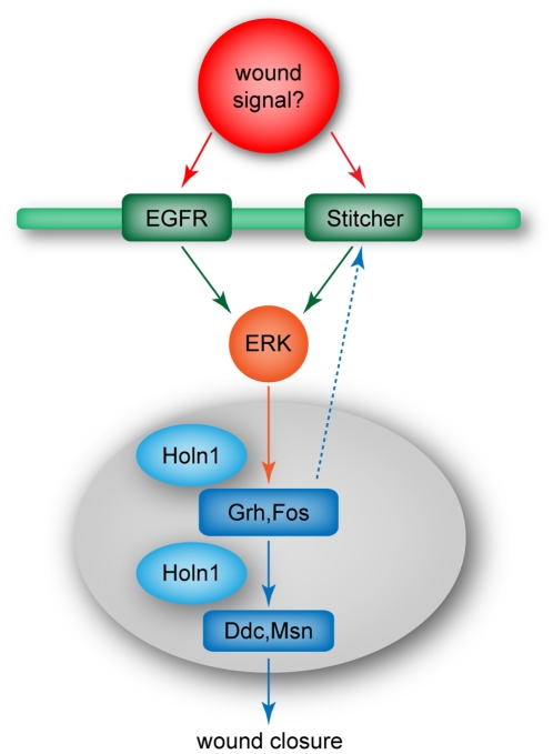 Figure 7