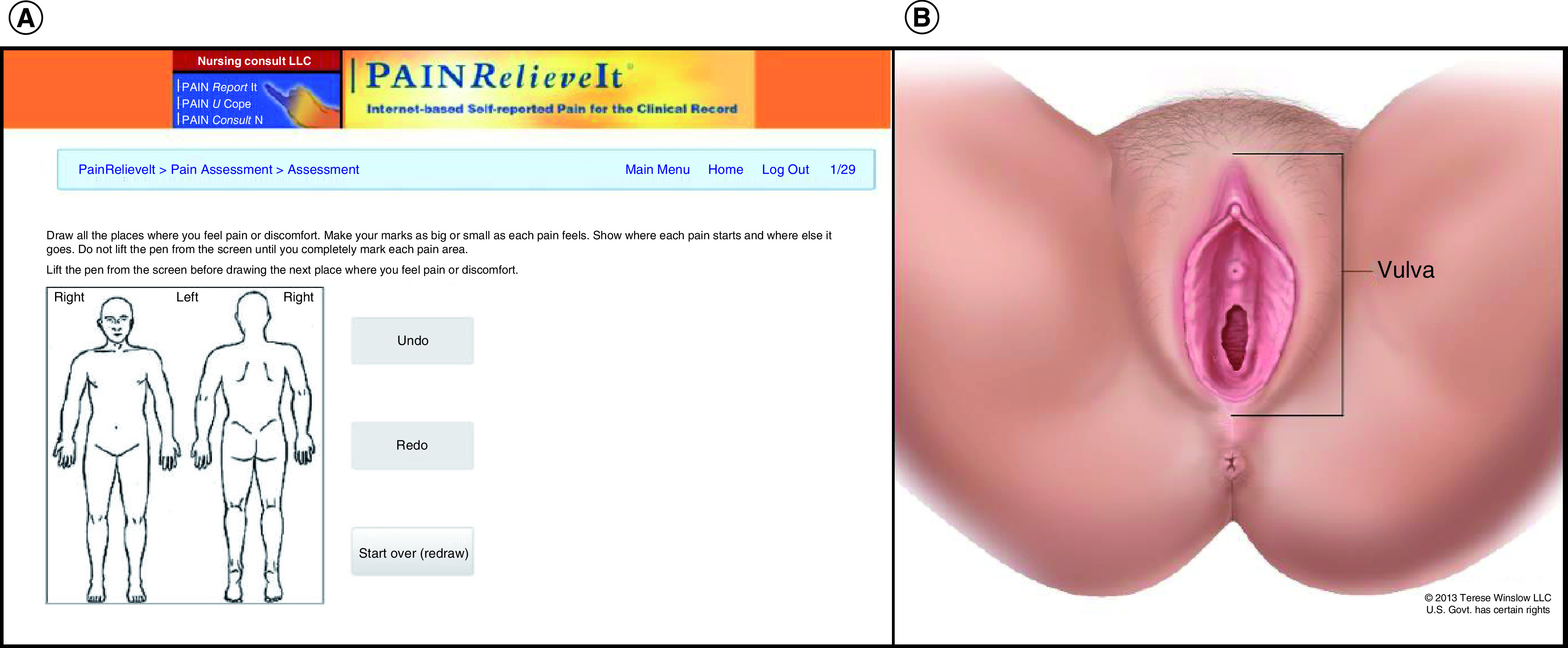 Figure 1. 