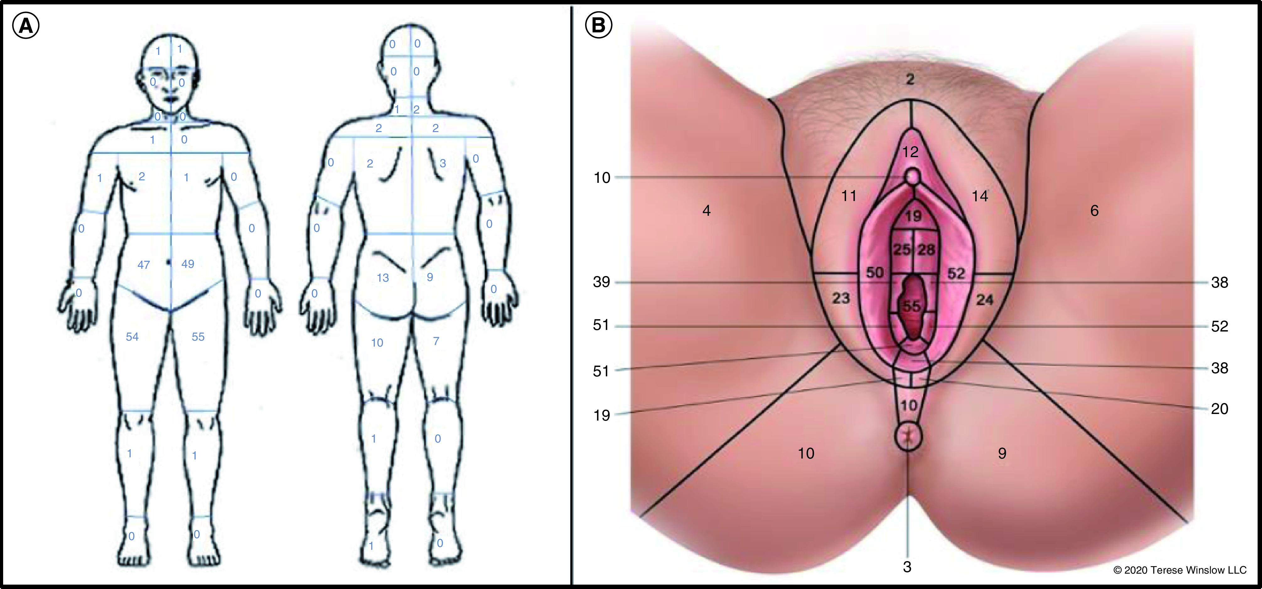 Figure 2. 