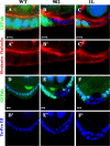 Figure 1.