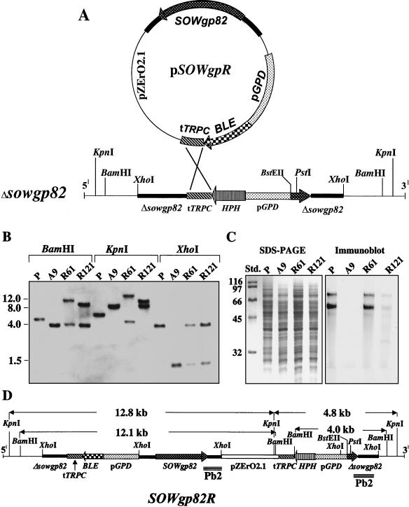 FIG. 9.