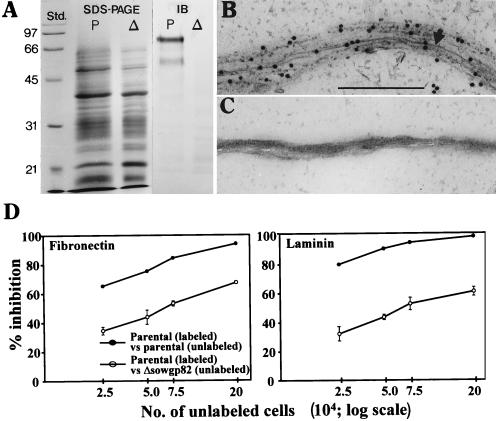 FIG. 8.