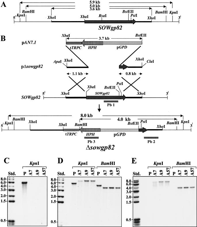 FIG. 7.