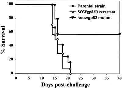 FIG. 10.