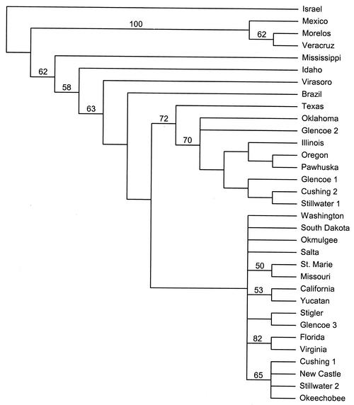 FIG. 5.