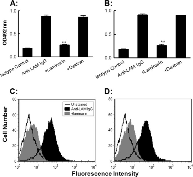 Fig 5