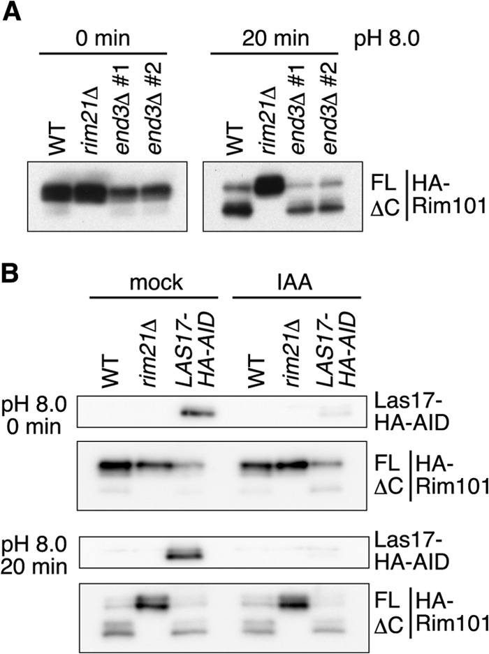 FIG 4