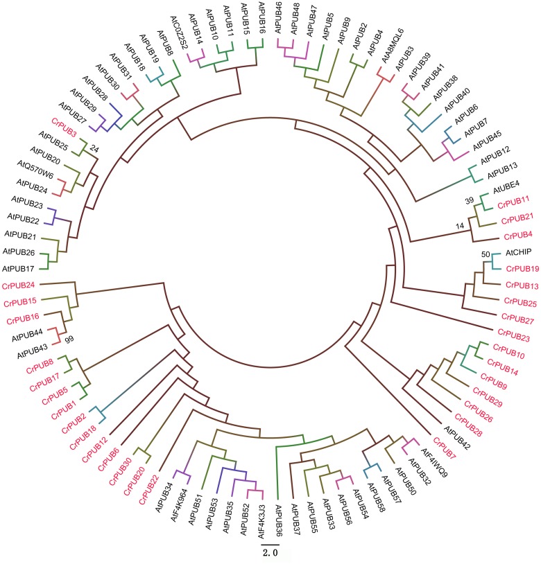 Fig 3