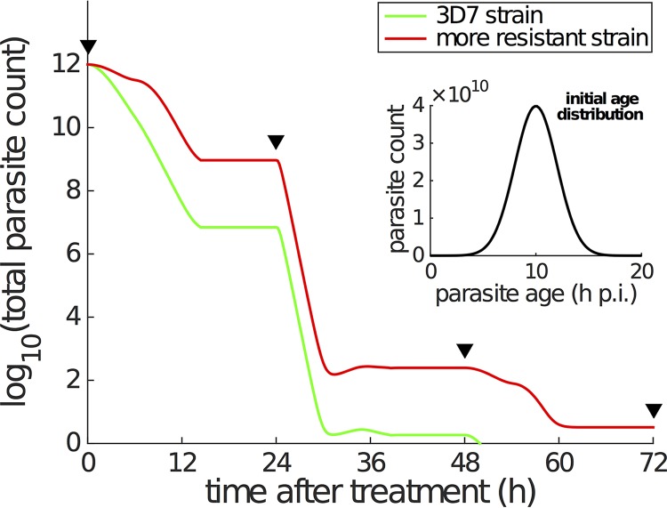 FIG 6