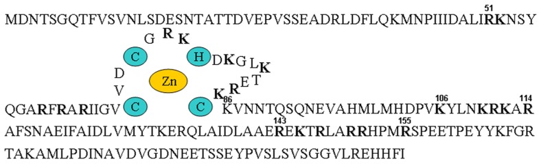 FIGURE 3