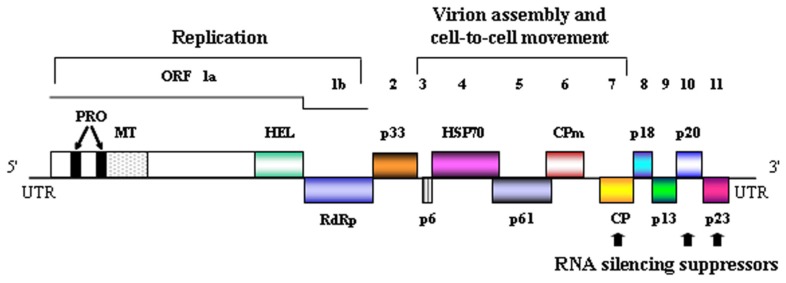 FIGURE 2