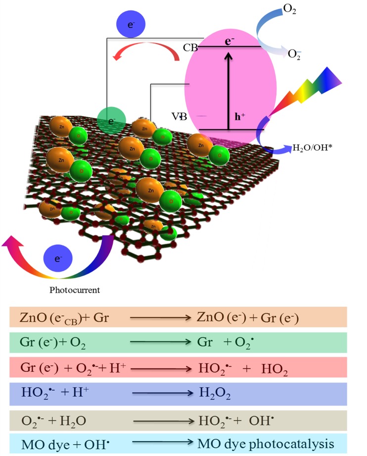 Fig 10