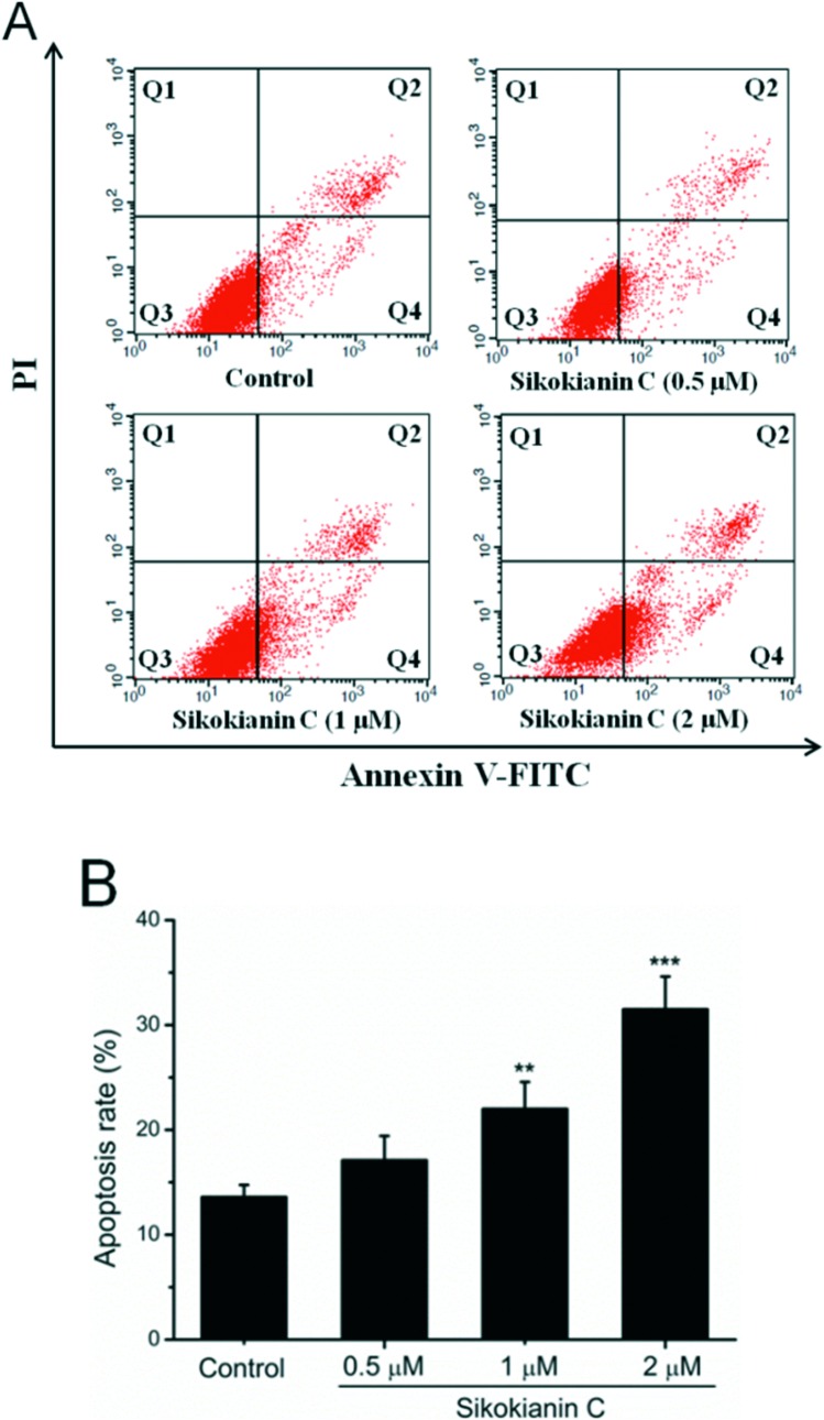 Fig. 6