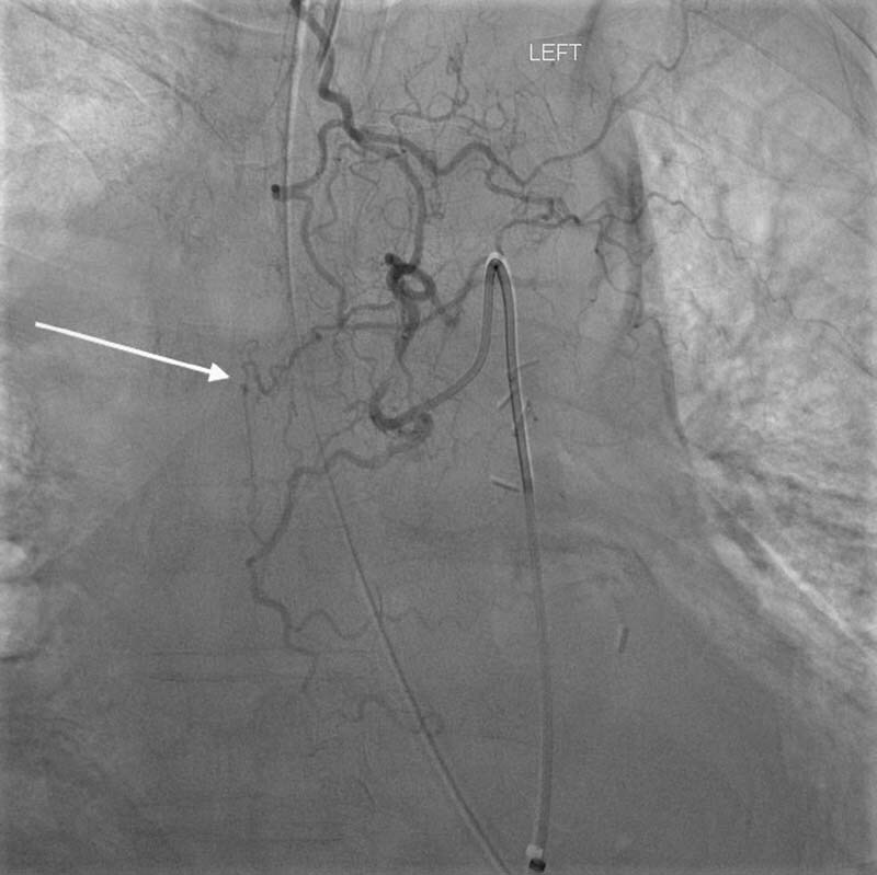 Fig. 5