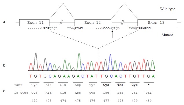 Figure 4.