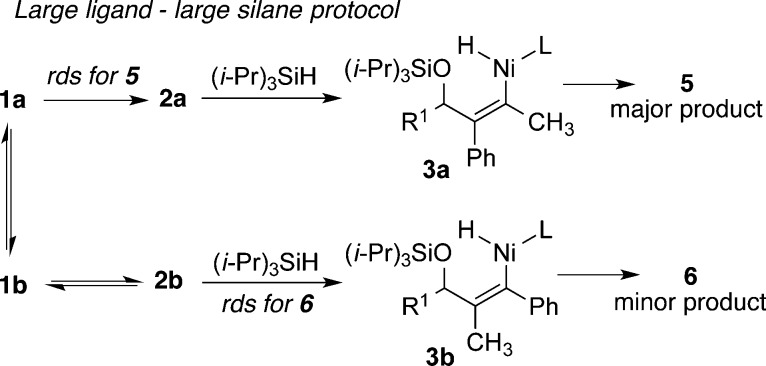 Scheme 3