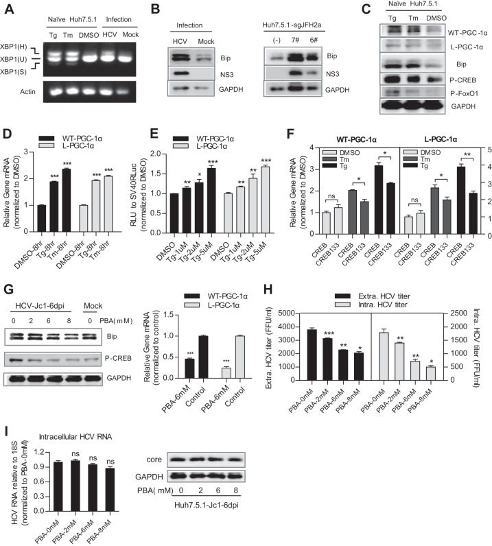 FIG 6