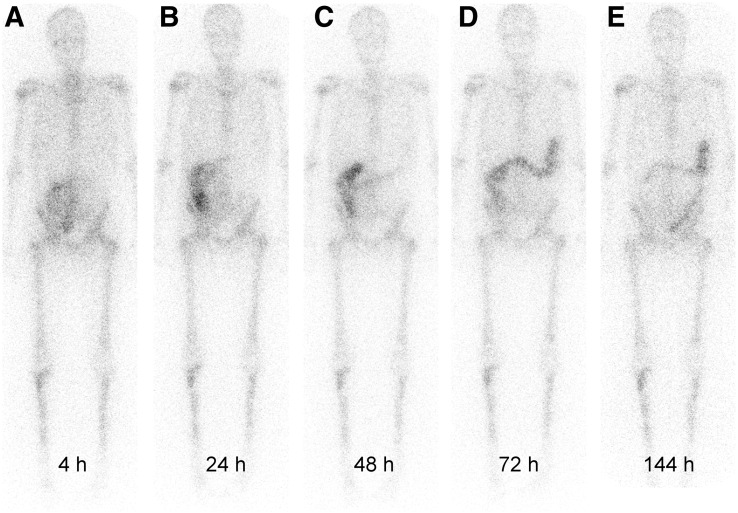 FIGURE 4.