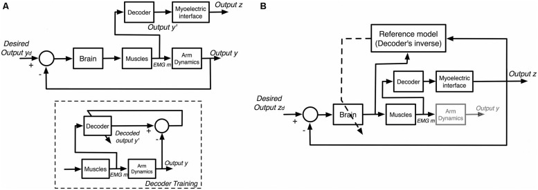 FIGURE 11