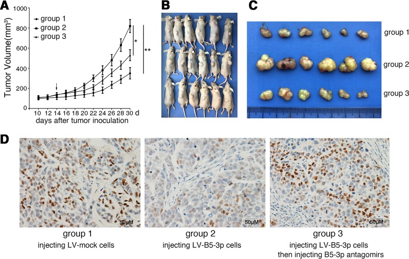 FIG 6