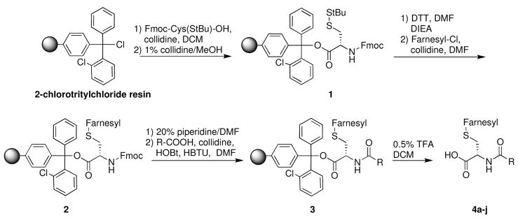 SCHEME 1