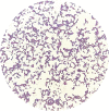 Fig. 4: