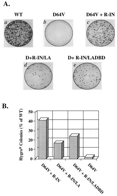 FIG. 3