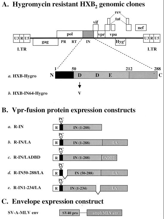 FIG. 1