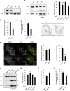 Figure 6