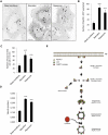 Figure 7