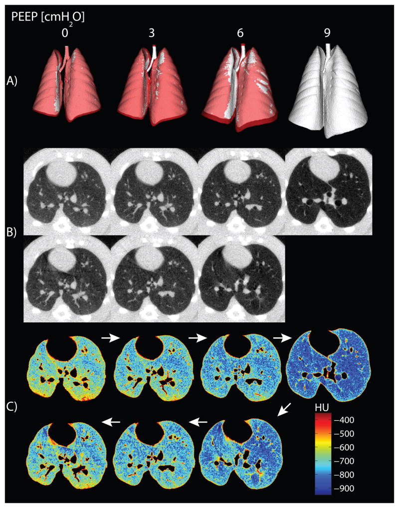 Fig. 6