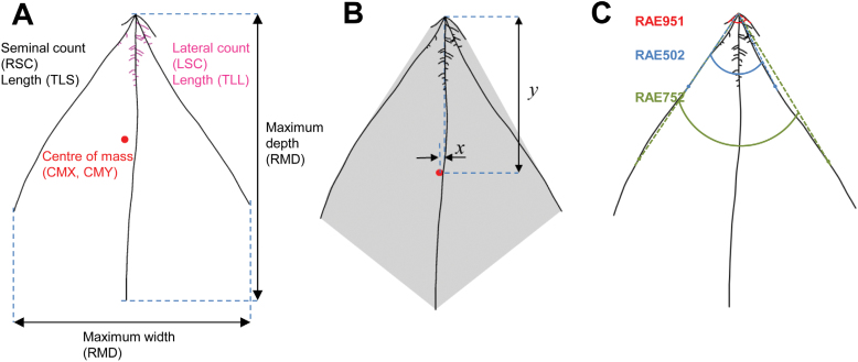 Fig. 2.