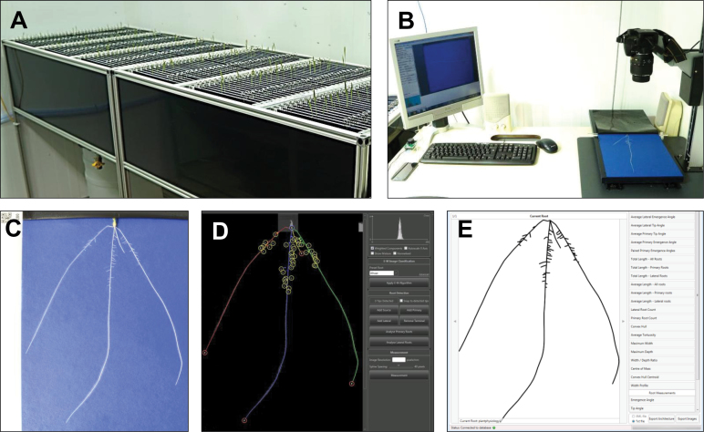 Fig. 1.