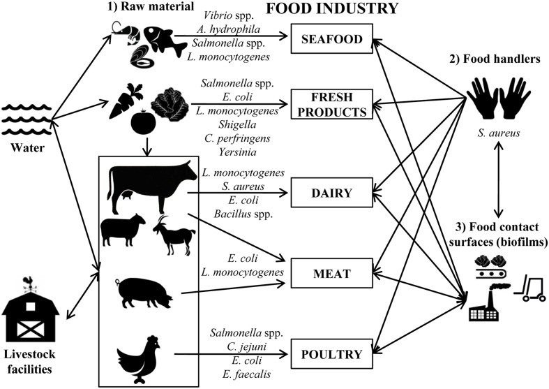 FIGURE 1