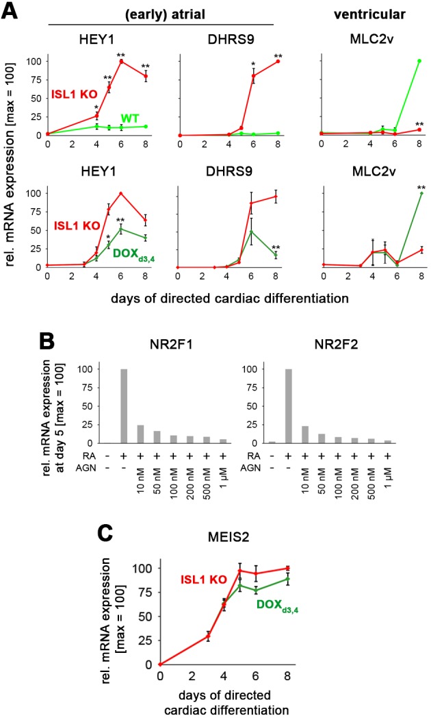 Figure 5—figure supplement 1.