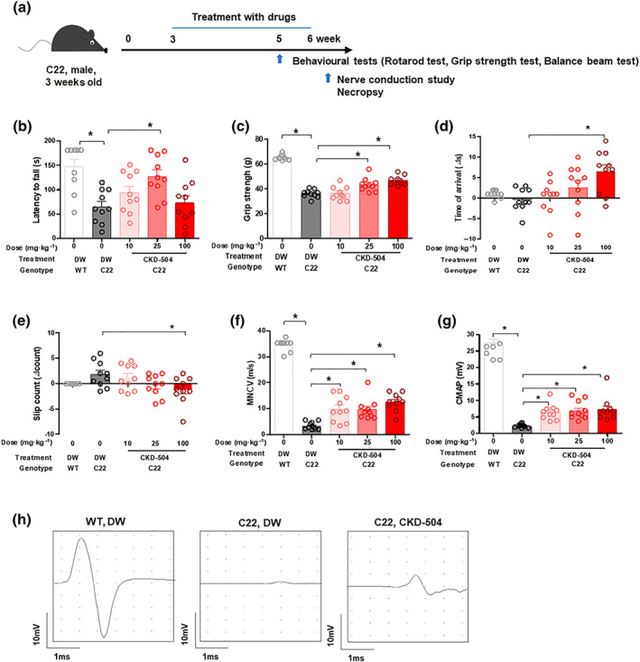 FIGURE 3