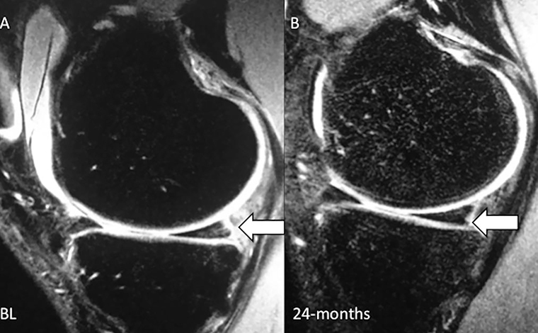 Figure 3: