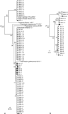 FIG. 1.