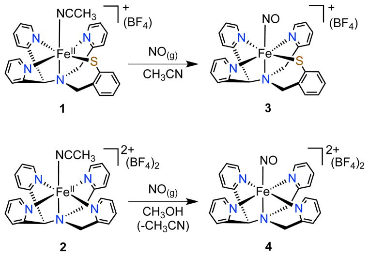 Scheme 1